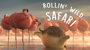 Thumbnail for ROLLIN` SAFARI - what if animals were round? | ROLLIN' WILD