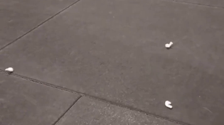 Thumbnail for She's a keeper 