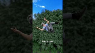 Thumbnail for Hit By A Pigeon While Riding 😰 | Zack D. Films