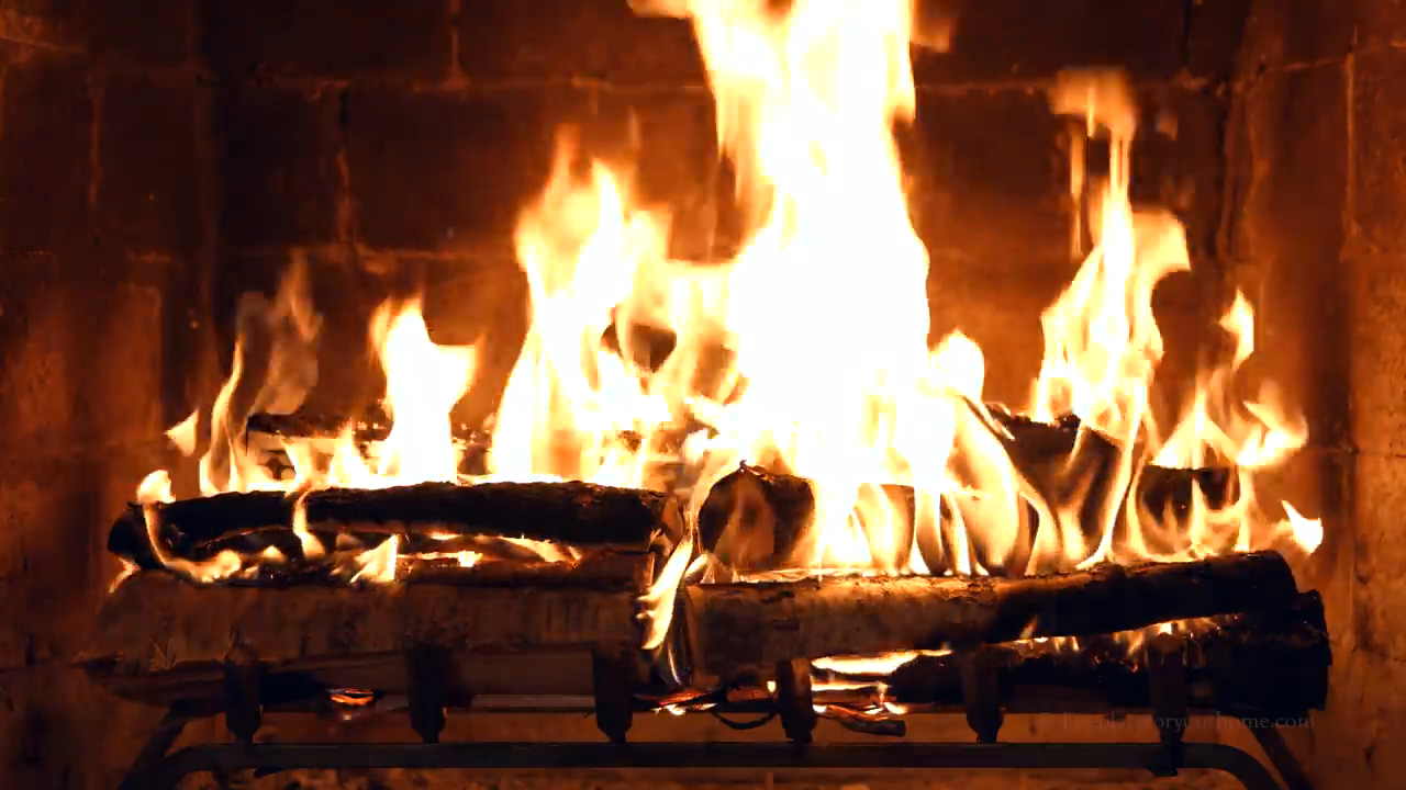 fireplace 4k crackling birchwood